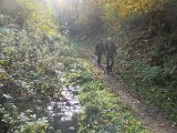 Roentgenlauf 2015 - 141.jpg